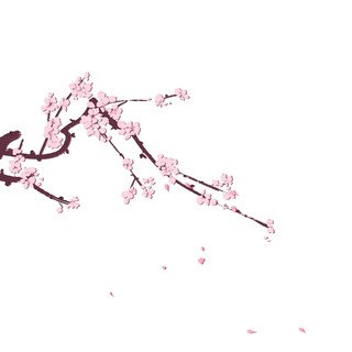 粉色腊梅梅花树枝花瓣飘落元素GIF动态图梅花元素